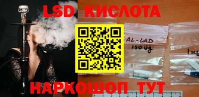 наркотики Сланцы
