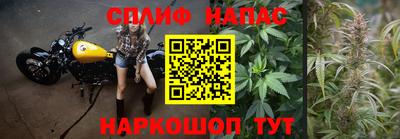 наркотики Сланцы