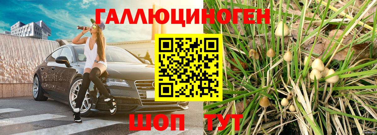 Галлюциногенные грибы GOLDEN TEACHER Приморско-Ахтарск